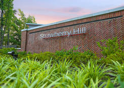 
                                	        Strawberry Hill
                                    